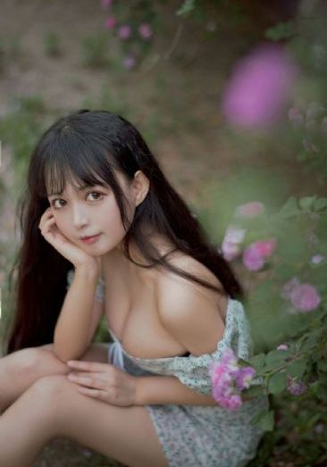 芈月传在线观看免费全集81集