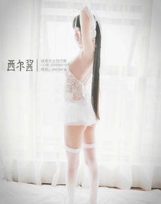 加菲猫家族电影