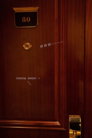 爱夜蒲